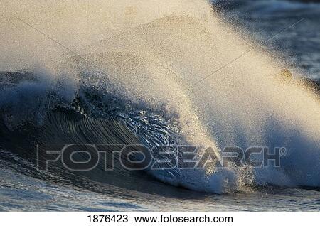 Hawaii, United States Of America; A Breaking Wave View Large Photo Image Stock Image - Hawaii, United States Of America; A Breaking Wave. Fotosearch