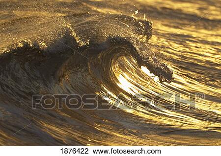 Hawaii, United States Of America; Light From Setting Sun Glistens On Breaking Wave View Large Photo Image Stock Image - Hawaii, United States Of America; Light From Setting Sun Glistens On Breaking Wave. Fotosearch
