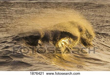 Hawaii, United States Of America; Wave Breaks In Twin Arcs, Catching Sunset Light View Large Photo Image Stock Image - Hawaii, United States Of America; Wave Breaks In Twin Arcs, Catching Sunset Light. Fotosearch