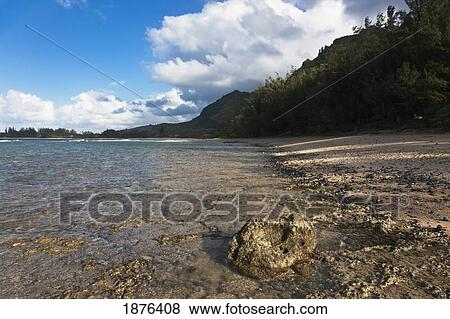 Stock Photo - Kauai, Hawaii, United States Of America; Shallow Water Covers A Flat-Topped Coral Reef Along The North Shore Of Kauai. Fotosearch