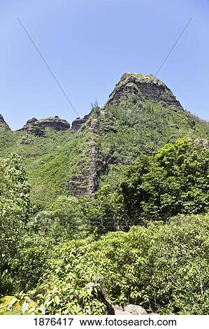Kauai, Hawaii, United States Of America; Steep Mountainous Terrain Of The Na Pali Coast With Lush Tropical Vegetation Forming A Distinctive Rainforest View Large Photo Image Stock Photo - Kauai, Hawaii, United States Of America; Steep Mountainous Terrain Of The Na Pali Coast With Lush Tropical Vegetation Forming A Distinctive Rainforest. Fotosearch