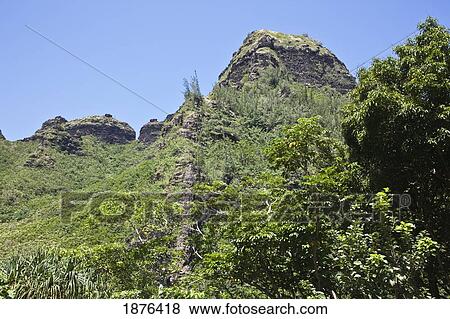 Kauai, Hawaii, United States Of America; Steep Mountainous Terrain Of The Na Pali Coast With Lush Tropical Vegetation Forming A Distinctive Rainforest View Large Photo Image Stock Photo - Kauai, Hawaii, United States Of America; Steep Mountainous Terrain Of The Na Pali Coast With Lush Tropical Vegetation Forming A Distinctive Rainforest. Fotosearch