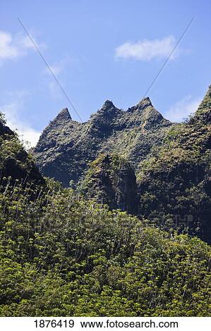 Stock Photo - Kauai, Hawaii, United States Of America; Steep Mountainous Terrain Of The Na Pali Coast With Lush Tropical Vegetation Forming A Distinctive Rainforest. Fotosearch