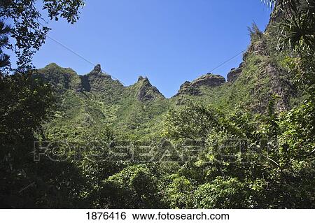 Kauai, Hawaii, United States Of America; Ridge With Sharp Peaks Defines Steep Mountainous Terrain Of The Na Pali Coast With Lush Tropical Vegetation Forming A Distinctive Rainforest View Large Photo Image Stock Photograph - Kauai, Hawaii, United States Of America; Ridge With Sharp Peaks Defines Steep Mountainous Terrain Of The Na Pali Coast With Lush Tropical Vegetation Forming A Distinctive Rainforest. Fotosearch