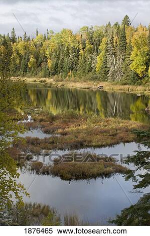 Stock Photography - Minnesota, United States Of America; Trees Around A Pond In Autumn During A Thunderstorm. Fotosearch