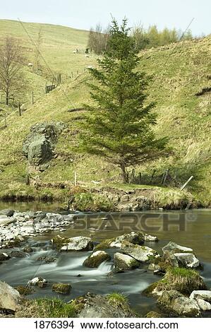 Picture - Northumberland, England; A River Flowing Over Rocks By A Hillside. Fotosearch