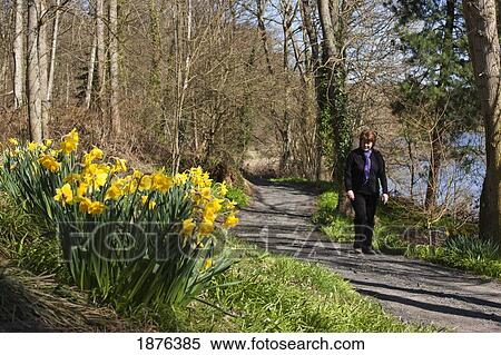 Northumberland, England; A Woman Walks Alone Down A Trail Along The Water View Large Photo Image Stock Photography - Northumberland, England; A Woman Walks Alone Down A Trail Along The Water. Fotosearch