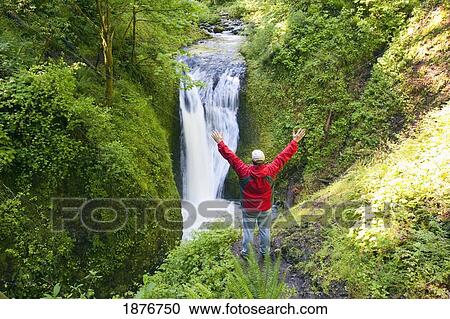 Stock Image - Oregon, United States Of America; A Man With His Arms Stretched Upwards While Looking At Middle Oneonta Falls In Columbia River Gorge National Scenic Area. Fotosearch