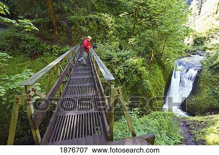 Stock Photo - Oregon, United States Of America; A Man Standing On A Bridge Looking At Middle Oneonta Falls In Columbia River Gorge National Scenic Area. Fotosearch