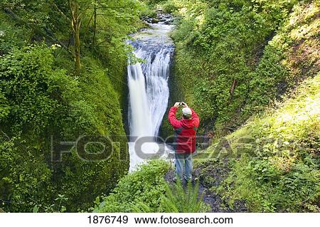 Oregon, United States Of America; A Man Taking A Picture Of Middle Oneonta Falls In Columbia River Gorge National Scenic Area View Large Photo Image Stock Photo - Oregon, United States Of America; A Man Taking A Picture Of Middle Oneonta Falls In Columbia River Gorge National Scenic Area. Fotosearch