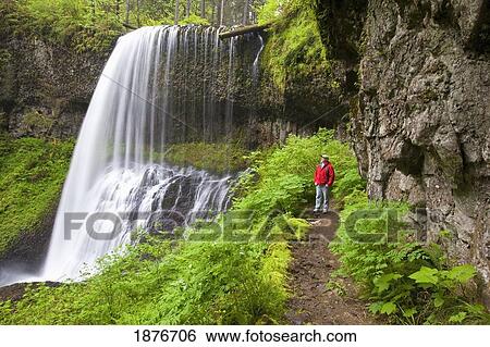 Stock Photograph - Oregon, United States Of America; A Man Standing By North Middle Falls In Silver Falls State Park. Fotosearch