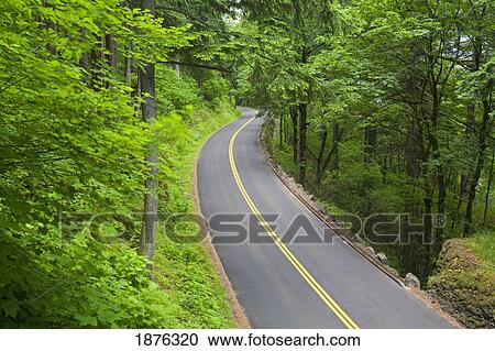 Stock Image - Oregon, United States Of America; A Road Going Through The Columbia River Gorge National Scenic Area. Fotosearch