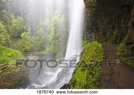 Oregon, United States Of America; A Trail Leading Behind North Middle Falls In Silver Falls State Park View Large Photo Image Stock Image - Oregon, United States Of America; A Trail Leading Behind North Middle Falls In Silver Falls State Park. Fotosearch