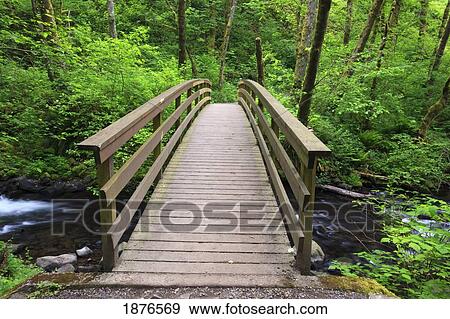 Stock Photo - Oregon, United States Of America; A Bridge Going Over Bridal Veil Creek In Columbia River Gorge National Scenic Area. Fotosearch