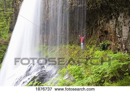 Stock Photo - Oregon, United States Of America; A Person With Their Arms Stretched Upwards Standing Behind North Middle Falls In Silver Falls State Park. Fotosearch