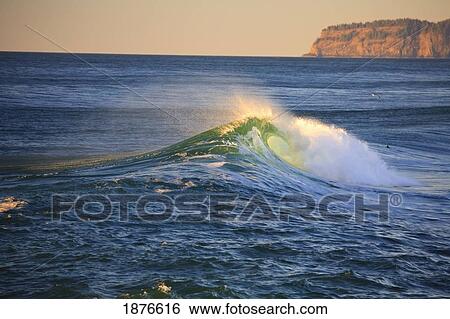 Oregon, United States Of America; A Wave Curl At Cape Kiwanda Along The Coast View Large Photo Image Stock Photograph - Oregon, United States Of America; A Wave Curl At Cape Kiwanda Along The Coast. Fotosearch