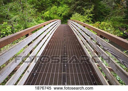 Oregon, United States Of America; A Walking Bridge In Silver Falls State Park View Large Photo Image Stock Photography - Oregon, United States Of America; A Walking Bridge In Silver Falls State Park. Fotosearch