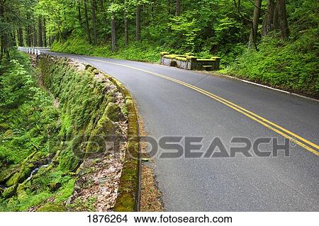 Oregon, United States Of America; Lush Green Foliage Along The Road In Columbia River Gorge National Scenic Area View Large Photo Image Picture - Oregon, United States Of America; Lush Green Foliage Along The Road In Columbia River Gorge National Scenic Area. Fotosearch