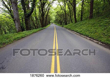 Stock Image - Oregon, United States Of America; Lush Green Foliage Along The Road In Columbia River Gorge National Scenic Area. Fotosearch