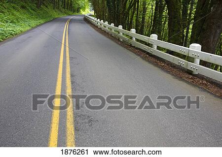 Oregon, United States Of America; Lush Green Foliage And A Fence Along The Road In Columbia River Gorge National Scenic Area View Large Photo Image Stock Image - Oregon, United States Of America; Lush Green Foliage And A Fence Along The Road In Columbia River Gorge National Scenic Area. Fotosearch