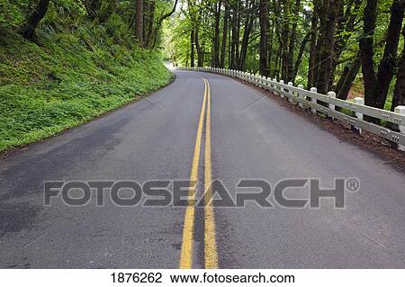 Stock Image - Oregon, United States Of America; Lush Green Foliage And A Fence Along The Road In Columbia River Gorge National Scenic Area. Fotosearch