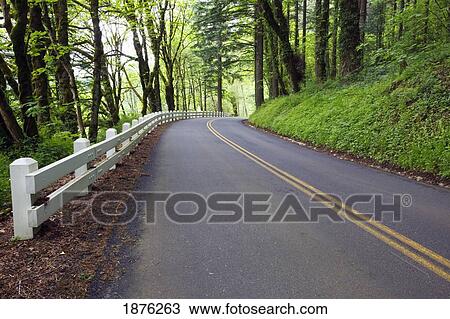 Stock Image - Oregon, United States Of America; Lush Green Foliage And A Fence Along The Road In Columbia River Gorge National Scenic Area. Fotosearch
