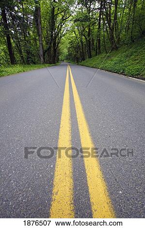 Stock Photo - Oregon, United States Of America; Lush Green Along The Road In Columbia River Gorge National Scenic Area. Fotosearch