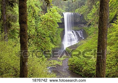 Oregon, United States Of America; North Middle Falls In Silver Falls State Park View Large Photo Image Stock Image - Oregon, United States Of America; North Middle Falls In Silver Falls State Park. Fotosearch