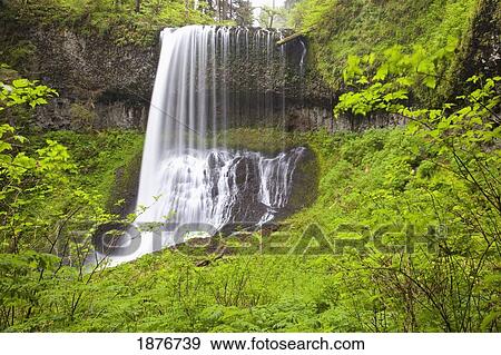 Oregon, United States Of America; North Middle Falls In Silver Falls State Park View Large Photo Image Stock Photo - Oregon, United States Of America; North Middle Falls In Silver Falls State Park. Fotosearch
