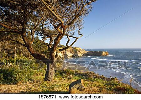 Oregon, United States Of America; Otter Rock Beach Along The Coast View Large Photo Image Stock Image - Oregon, United States Of America; Otter Rock Beach Along The Coast. Fotosearch