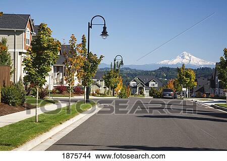 Picture - Oregon, United States Of America; Autumn Colors Along A Street With New Homes And A View Of Mount Hood. Fotosearch