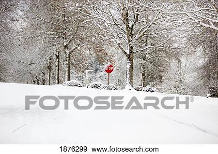 Stock Photo - Oregon, United States Of America; Snow On A Stop Sign. Fotosearch