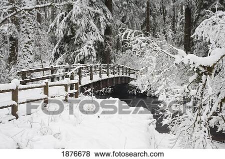 Oregon, United States Of America; Snow Covered Bridge In Silver Falls State Park View Large Photo Image Stock Photo - Oregon, United States Of America; Snow Covered Bridge In Silver Falls State Park. Fotosearch