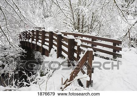 Oregon, United States Of America; Snow Covered Bridge In Silver Falls State Park View Large Photo Image Stock Photo - Oregon, United States Of America; Snow Covered Bridge In Silver Falls State Park. Fotosearch