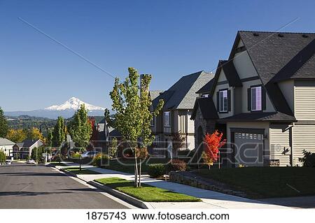 Oregon, United States Of America; Autumn Colors Along A Street With New Homes And A View Of Mount Hood View Large Photo Image Stock Image - Oregon, United States Of America; Autumn Colors Along A Street With New Homes And A View Of Mount Hood. Fotosearch
