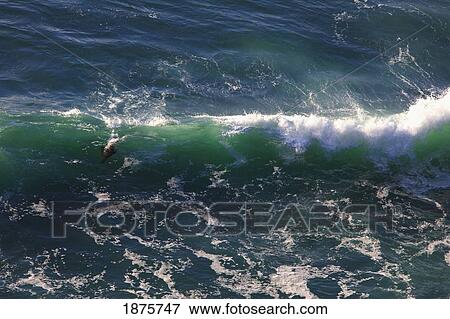 Oregon, United States Of America; Incoming Waves Along The Coast View Large Photo Image Stock Photo - Oregon, United States Of America; Incoming Waves Along The Coast. Fotosearch