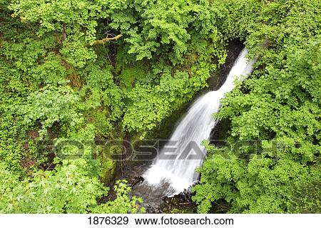Oregon, United States Of America; Shepperd's Dell Falls In Columbia River Gorge National Scenic Area View Large Photo Image Stock Photo - Oregon, United States Of America; Shepperd's Dell Falls In Columbia River Gorge National Scenic Area. Fotosearch