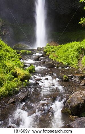 Oregon, United States Of America; Latourell Falls In The Columbia River Gorge National Scenic Area View Large Photo Image Stock Photo - Oregon, United States Of America; Latourell Falls In The Columbia River Gorge National Scenic Area. Fotosearch