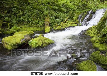 Oregon, United States Of America; Mccord Creek In Columbia River Gorge National Scenic Area View Large Photo Image Stock Photo - Oregon, United States Of America; Mccord Creek In Columbia River Gorge National Scenic Area. Fotosearch