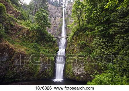 Oregon, United States Of America; Multnomah Falls In Columbia River Gorge National Scenic Area View Large Photo Image Stock Photograph - Oregon, United States Of America; Multnomah Falls In Columbia River Gorge National Scenic Area. Fotosearch