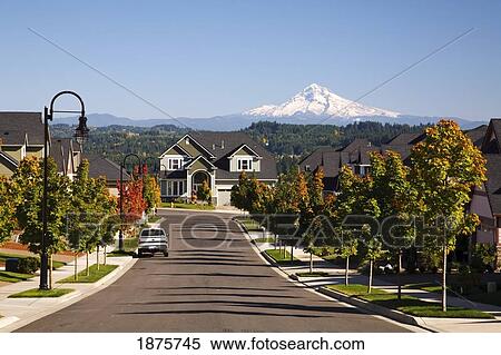 Stock Photography - Oregon, United States Of America; Autumn Colors Along A Street With New Homes And A View Of Mount Hood. Fotosearch
