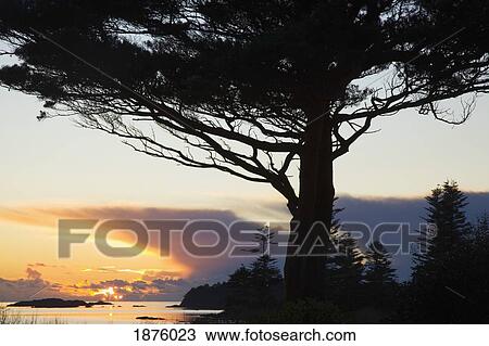 Stock Image - Parknasilla, County Kerry, Ireland; A Sunset Over Kenmare Bay. Fotosearch