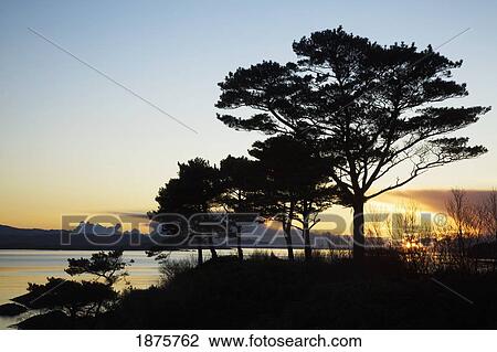 Parknasilla, County Kerry, Ireland; Sunset Over Kenmare Bay View Large Photo Image Stock Image - Parknasilla, County Kerry, Ireland; Sunset Over Kenmare Bay. Fotosearch