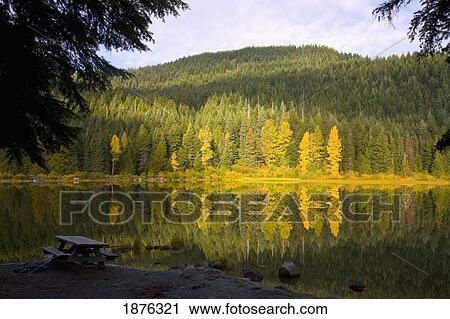 Portland, Oregon, United States Of America; Trees In Autumn Colors Reflecting In Trillium Lake In The Oregon Cascades View Large Photo Image Stock Image - Portland, Oregon, United States Of America; Trees In Autumn Colors Reflecting In Trillium Lake In The Oregon Cascades. Fotosearch