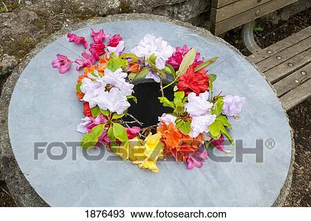 Stock Image - Portland, Oregon, United States Of America; Spring Flowers Displayed Around The Opening Of A Garbage Can In Crystal Springs Rhododendron Gardens. Fotosearch