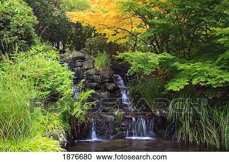Portland, Oregon, United States Of America; Waterfalls In Crystal Springs Rhododendron Garden View Large Photo Image Stock Image - Portland, Oregon, United States Of America; Waterfalls In Crystal Springs Rhododendron Garden. Fotosearch