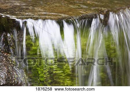 Portland, Oregon, United States Of America; A Cascade At Crystal Springs Rhododendron Gardens View Large Photo Image Stock Photo - Portland, Oregon, United States Of America; A Cascade At Crystal Springs Rhododendron Gardens. Fotosearch