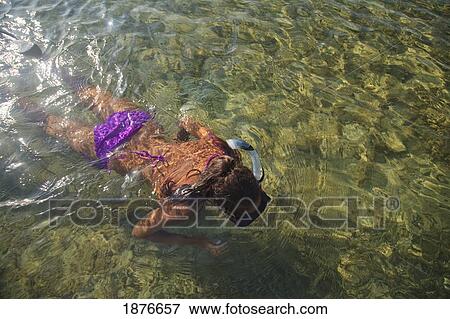 Roatan, Bay Islands, Honduras; A Young Woman Snorkeling At Anthony's Key Resort View Large Photo Image Stock Photo - Roatan, Bay Islands, Honduras; A Young Woman Snorkeling At Anthony's Key Resort. Fotosearch