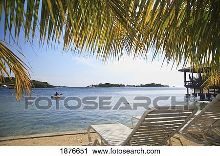 Roatan, Bay Islands, Honduras; View A Person In A Kayak Off The Coast Of The Caribbean Sea At Anthony's Key Resort View Large Photo Image Stock Image - Roatan, Bay Islands, Honduras; View A Person In A Kayak Off The Coast Of The Caribbean Sea At Anthony's Key Resort. Fotosearch