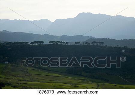 Stock Photo - Ronda, Andalusia, Spain; The Landscape. Fotosearch